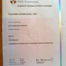 Сертификат ТКТ, 2013г