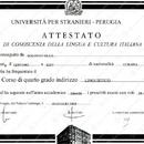 Диплом о стажировке в Италии