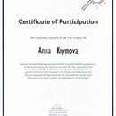 Сертификат, подтверждающий мое участие в EUCYS 2014